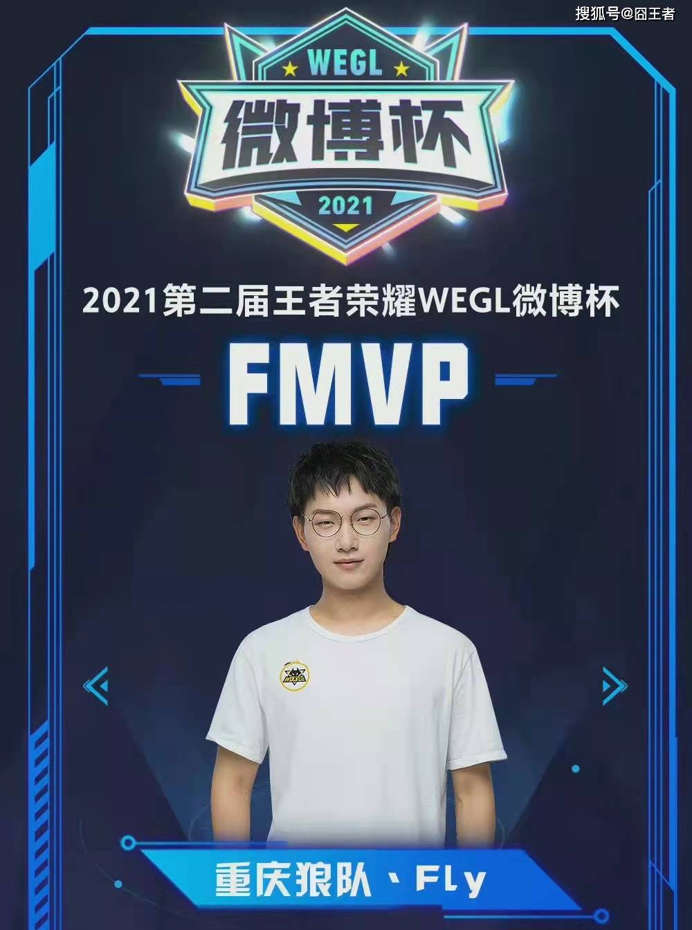 能描述为 能描述为